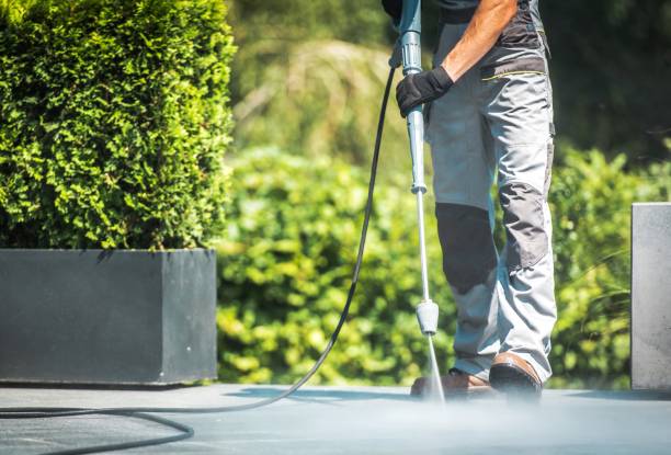 Professional Pressure Washing Services in Thonotosassa, FL